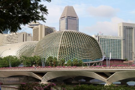 新加坡市内一景图片
