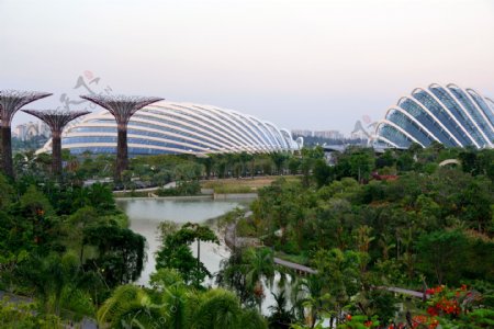 新加坡滨海湾花园滨海湾图片