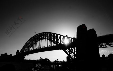 悉尼大桥图片
