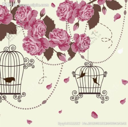 浪漫玫瑰花鸟装饰设计图片