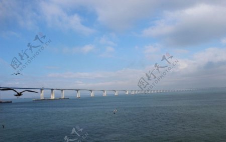 海面大桥图片