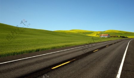 草原公路图片