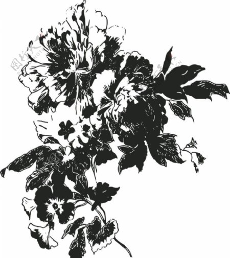 花卉花纹图片