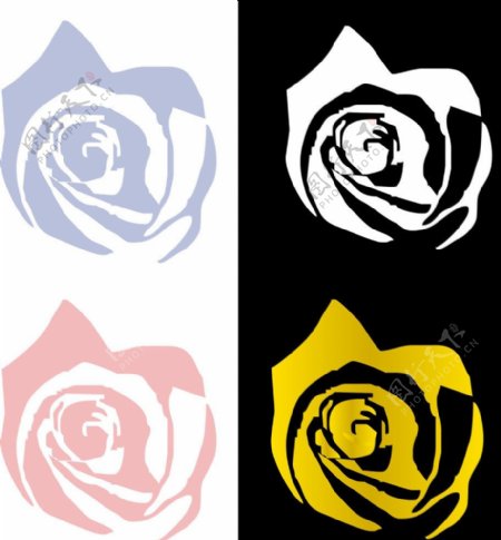 四色玫瑰花图片