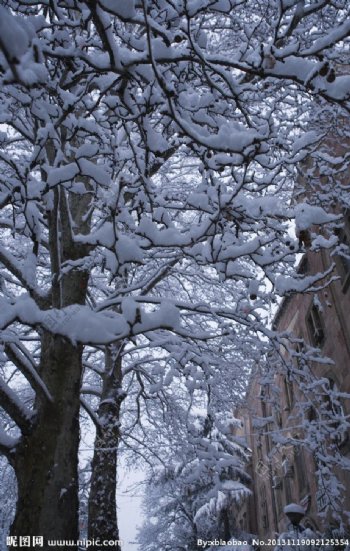雪后街景图片