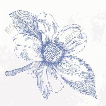 手绘花卉矢量素材图片