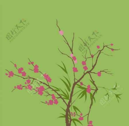 桃树花卉图片