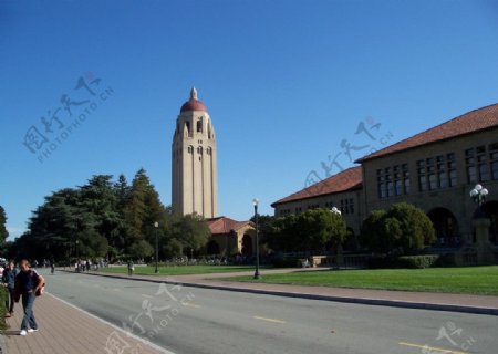 美国斯坦福大学校园景观图片