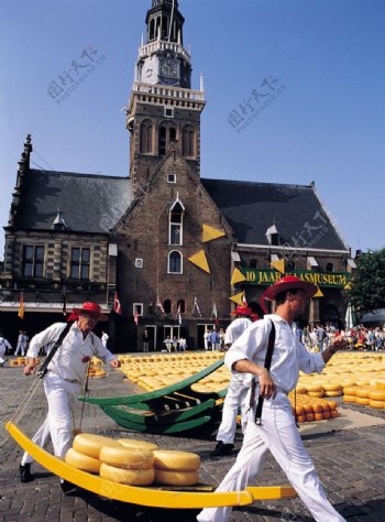 阿克马奶酪市场图片