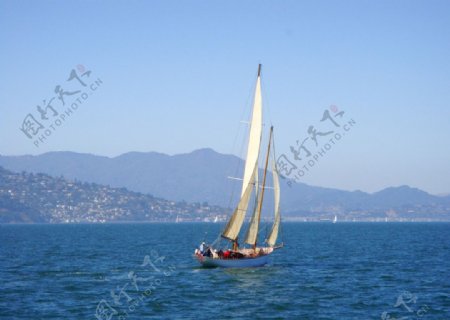 旧金山湾的帆船图片