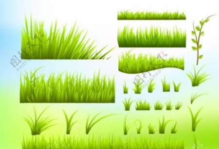 翠绿的小草矢量素材图片