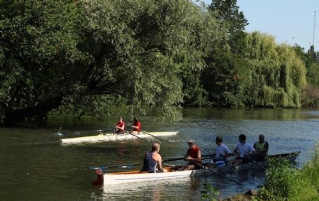 欧洲河流上人们比赛划桨图片