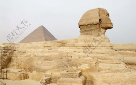 金字塔与狮身人图片