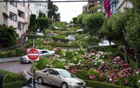 旧金山的花街图片