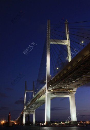 横滨跨海大桥夜景图片