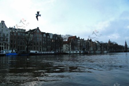 荷兰阿姆斯特丹大运河风光图片