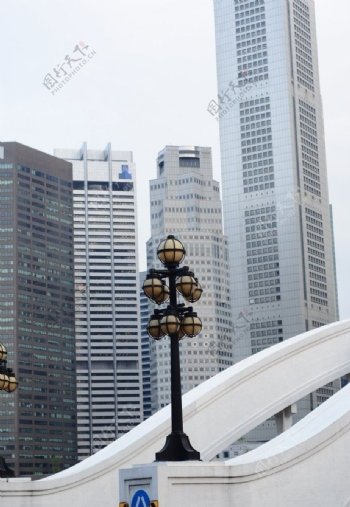 新加坡高楼和桥樑图片