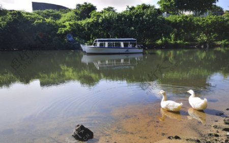 毛里求斯苏亚克旅游度假村景色图片