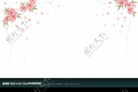 韩国精美花形饰角图片