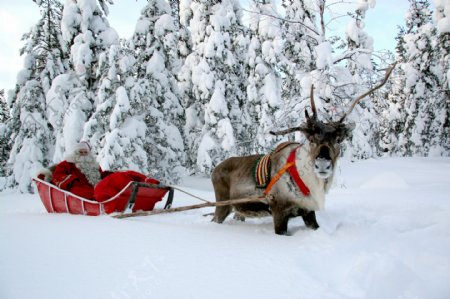圣诞老人的雪橇图片