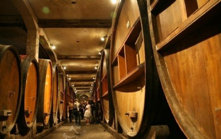 法国葡萄酒酿制酒厂大型橡木桶罐子图片