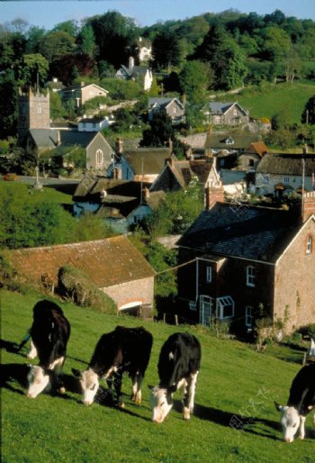 英国农村风景图片