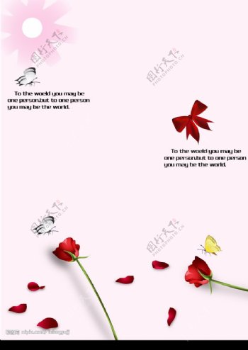 玫瑰蝴蝶结图片
