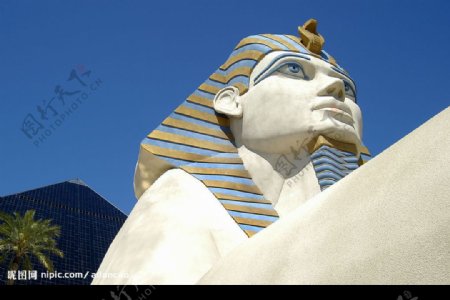 埃及路克索狮身人面像图片