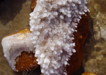 死海结晶盐图片