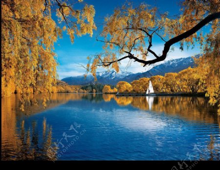 新西兰南岛瓦卡娜湖图片