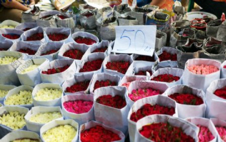 曼谷花市场的玫瑰图片