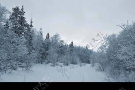 苏联雪景高清晰2859x1900像素300DPI图片