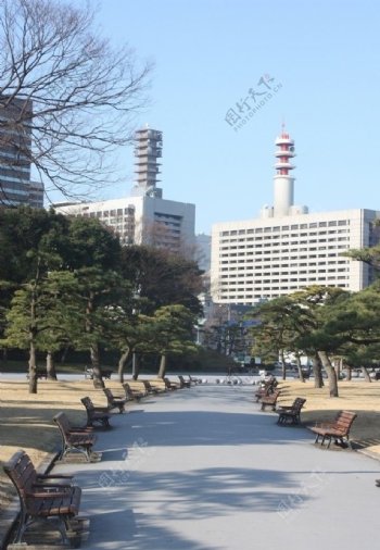日本皇宫前公园一角图片