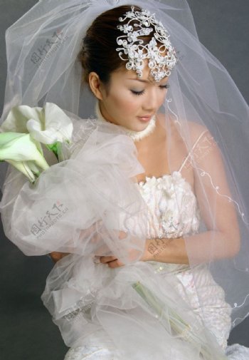 亚洲美女婚纱照图片