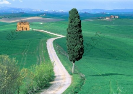 意大利乡村小路图片