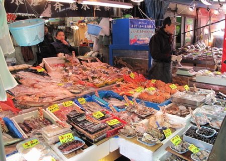 日本東京築地魚市場图片