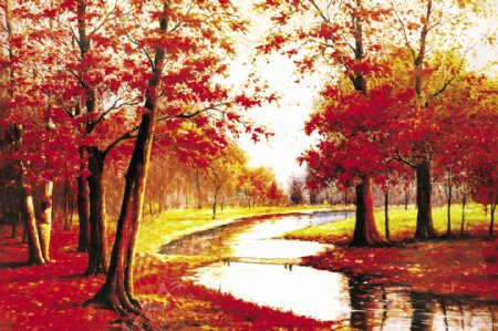 红枫林枫叶图片