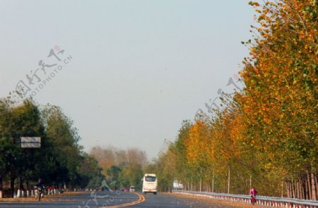 秋天美丽的公路图片