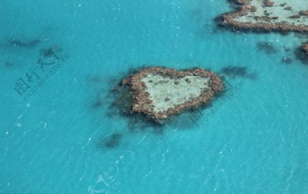 澳洲大堡礁心形礁石图片
