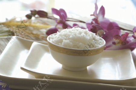 碗装米饭图片