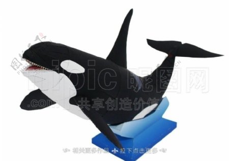 海豚纸模图片