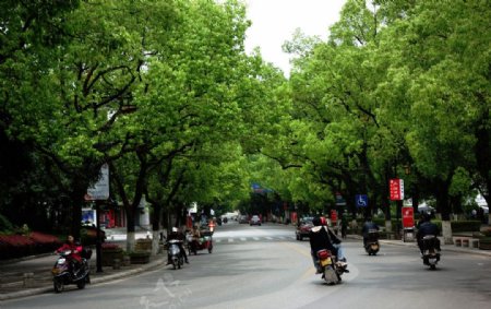 桂林的街道图片