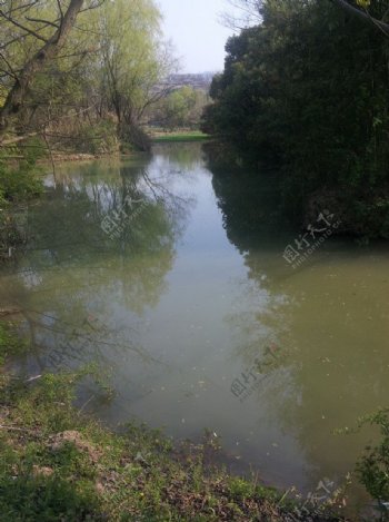 西溪湿地湖泊河流图片
