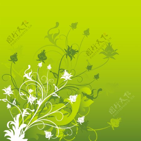 花树嫩绿背景图片