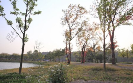红河湖泉风光图片