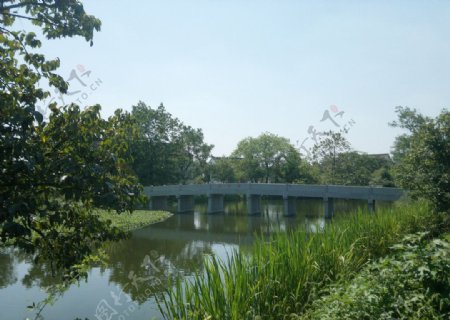 西溪湿地图片