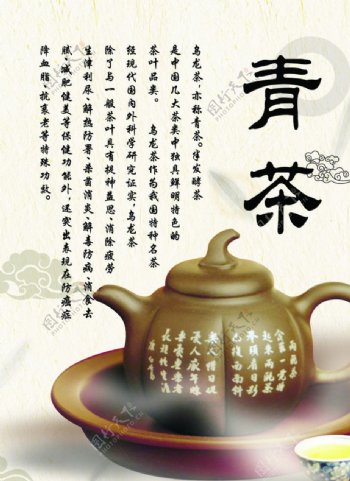 青茶图片