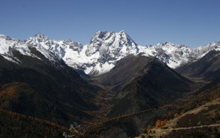 白茫雪山的秋色图片