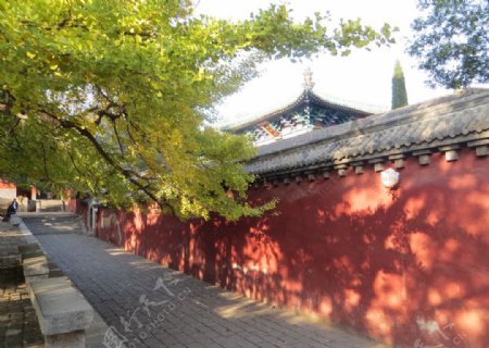 少林寺秋景图片