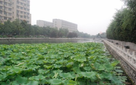 长江大学西校区图片